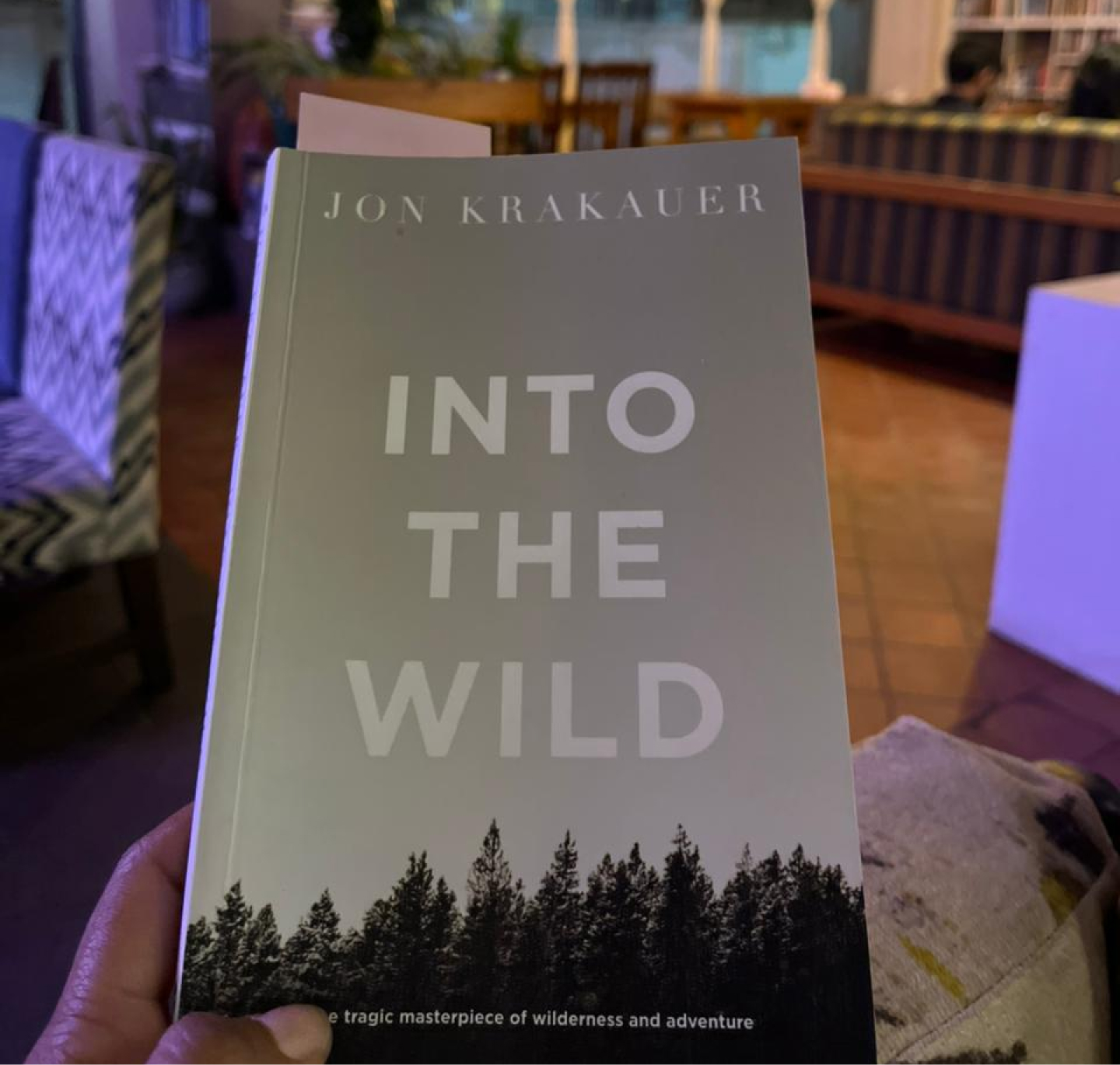 Into the Wild book cover